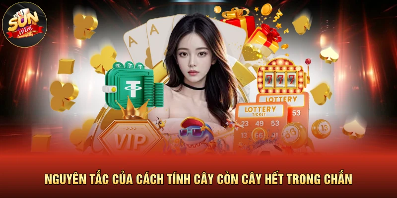Cách Tính Cây Còn Cây Hết Trong Chắn | 3 Mẹo Ù Cực Hay 2 Nguyên tắc của cách tính cây còn cây hết trong chắn
